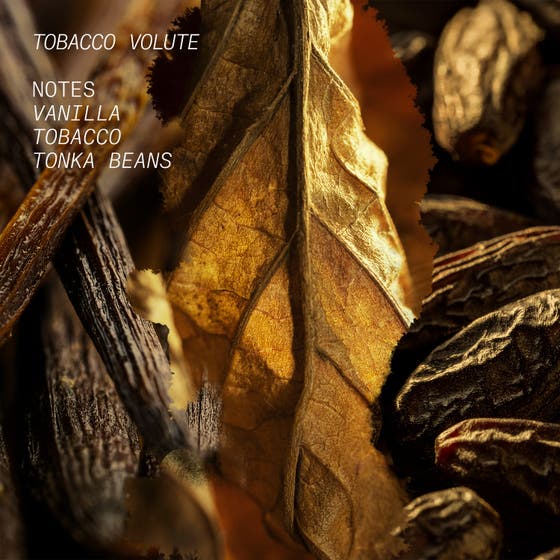  TOBACCO VOLUTE 