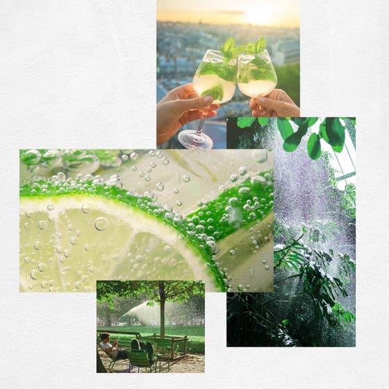  GREEN CRUSH 
