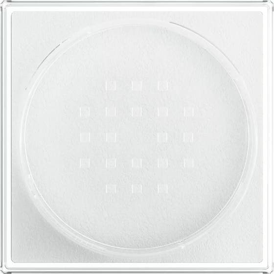 Fit Me Loose Setting Powder