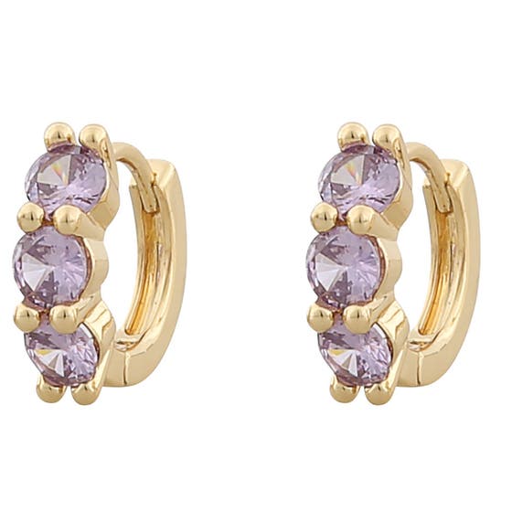Kelly Small Ring Ear 356 g/purple