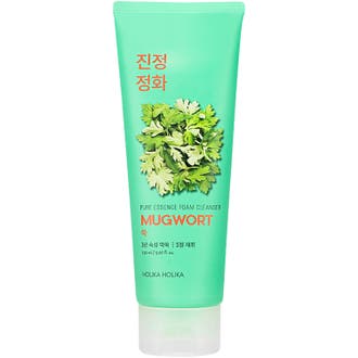 Pure Essence Mugwort Foam Cleanser