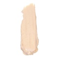 Anne T. Dotes Concealer