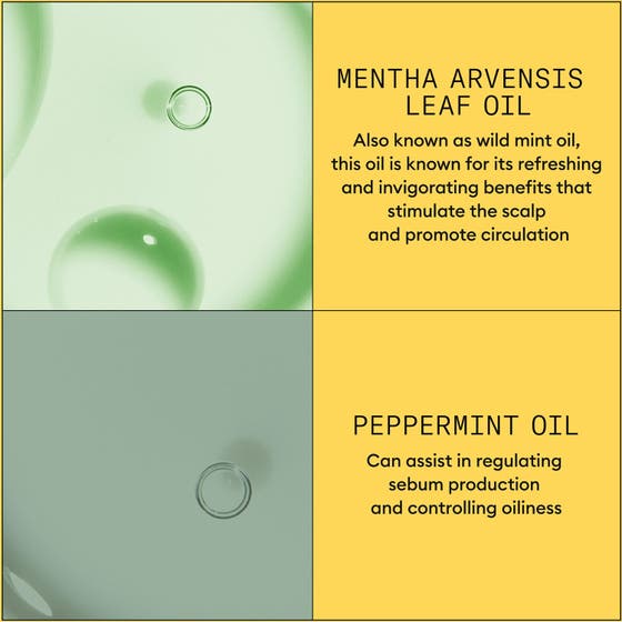 System 1 Treatment & Conditioner Set