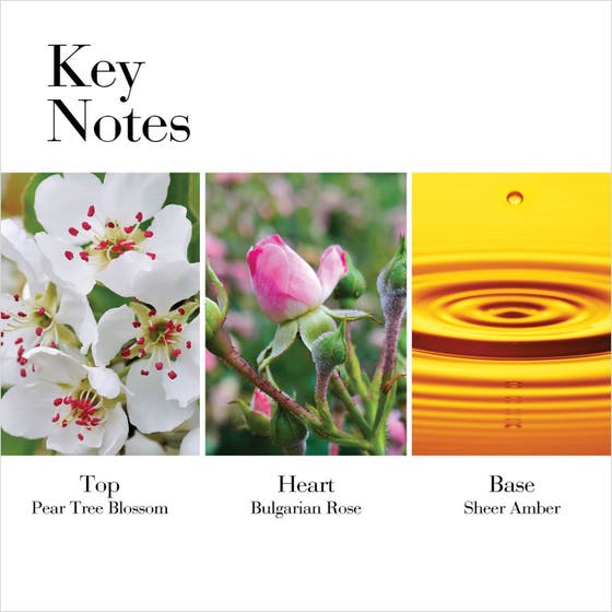 White Tea Wild Rose Set