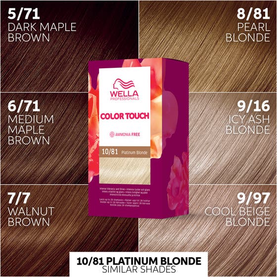 Color Touch Rich Naturals