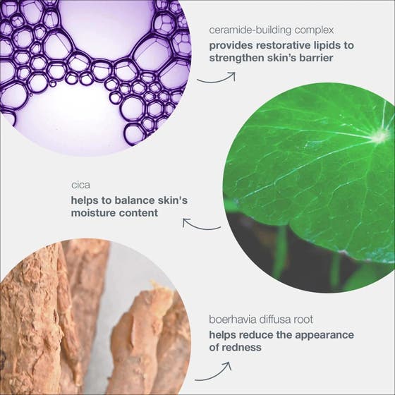 Stabilizing Repair Cream Duo