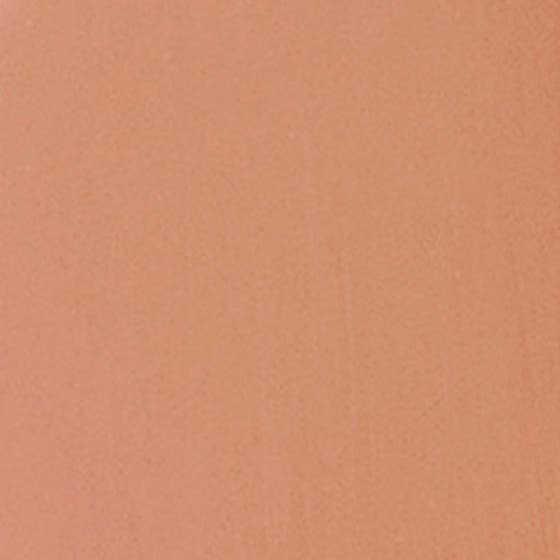 Perfect Moisture Lipstick