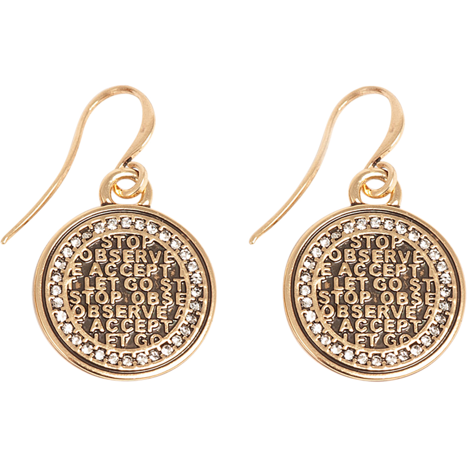 Coins Of Relief Fish Hook Earring