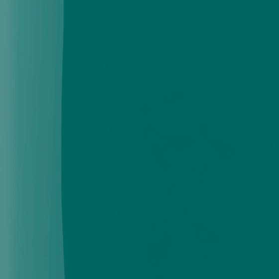 The Wonder Nail Polish Quick dry & Longwear