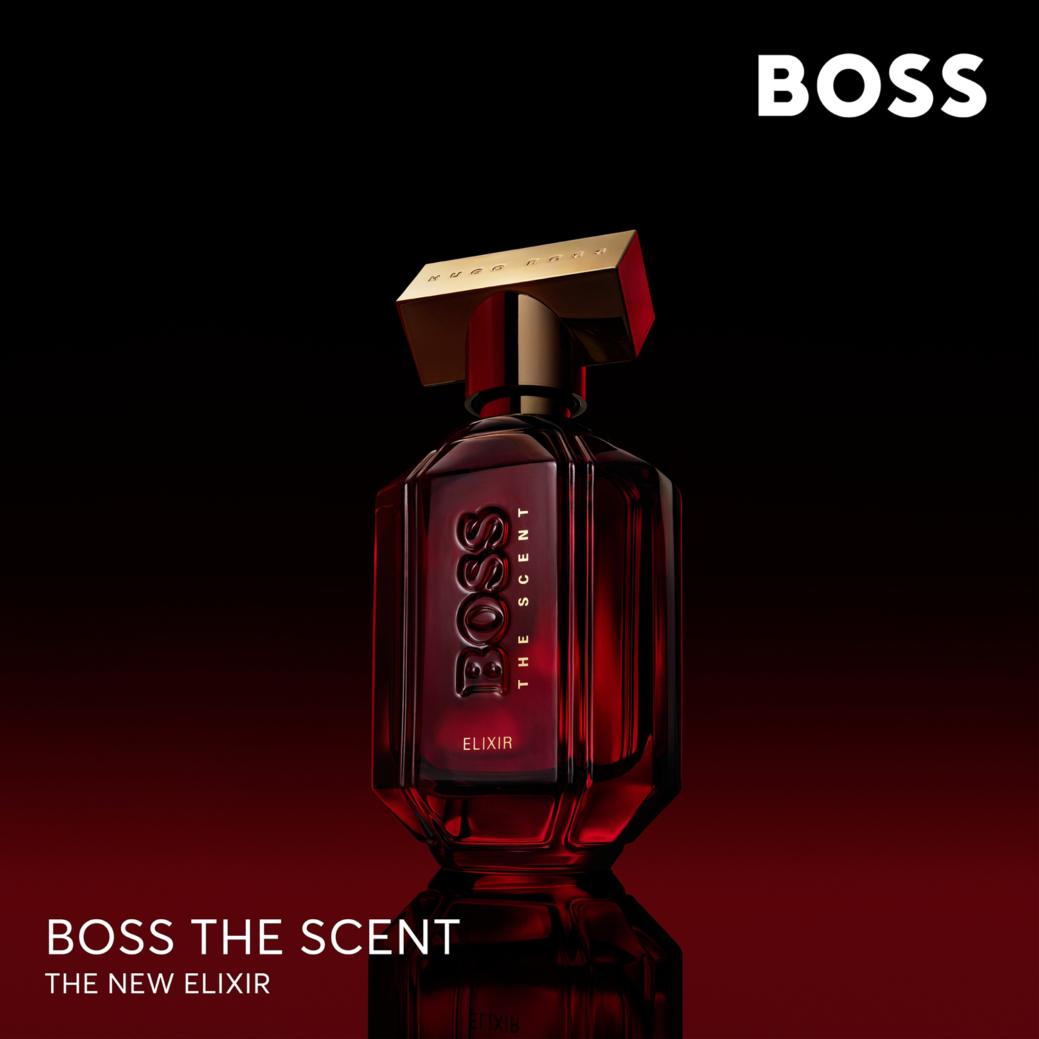 The Scent For Her Elixir