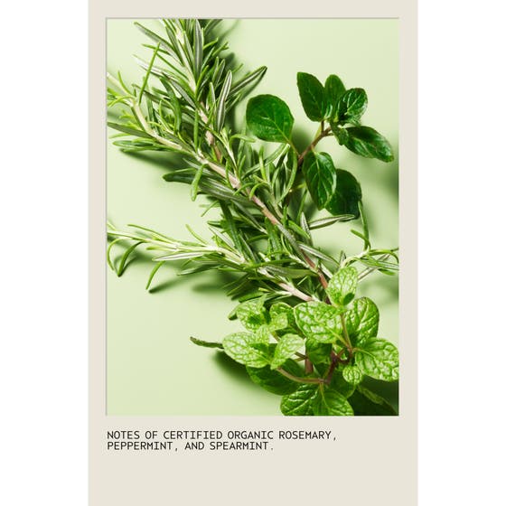 Rosemary Mint Shampoo