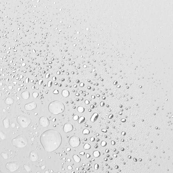 Multi-Active Toner Duo