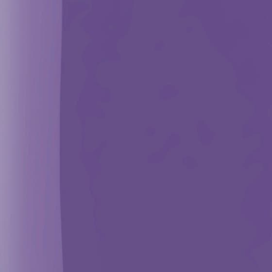 The Wonder Nail Polish Quick dry & Longwear