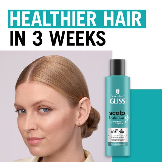 Gliss Scalp Balance Gentle Shampoo