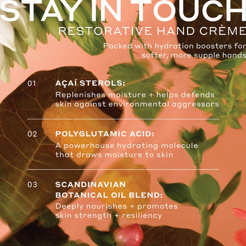 Ole Henriksen The Ole Touch Stay in Touch Restorative Hand Cream