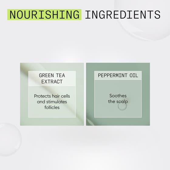 System 2 Treatment & Conditioner Set