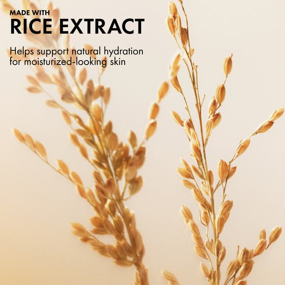 Plantscription Powerful Lifting Face Cream