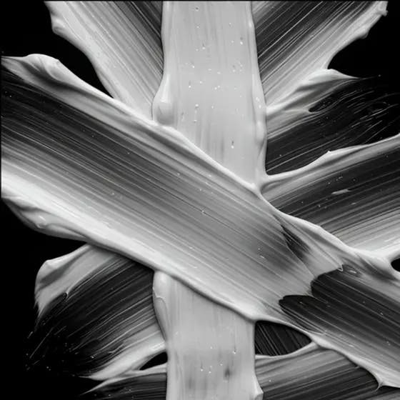 Penetraitt Supreme Repair Conditioner