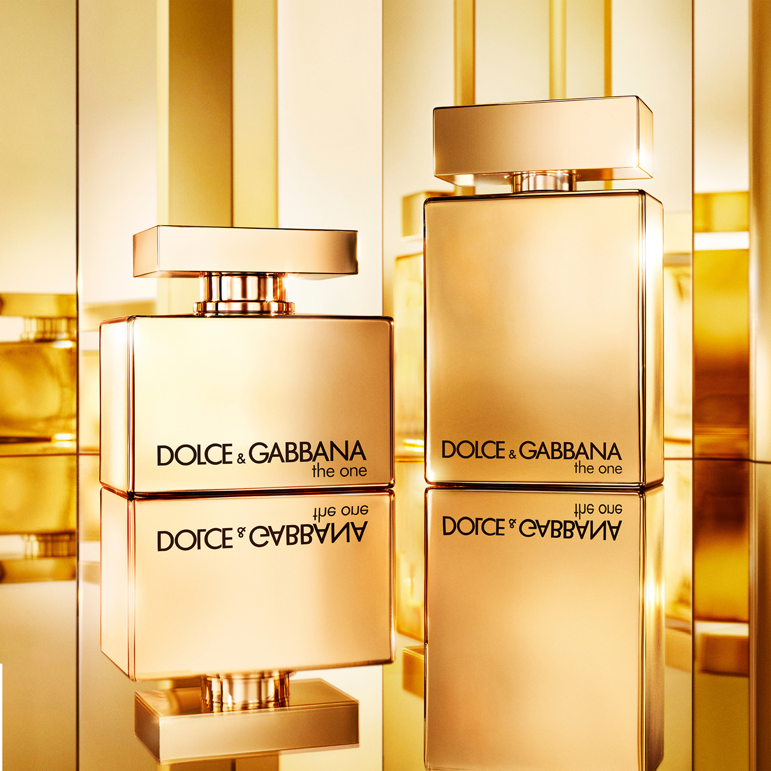 The One Pour Homme Gold Intense