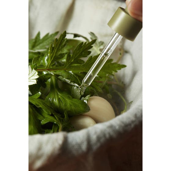 Mugwort Serum