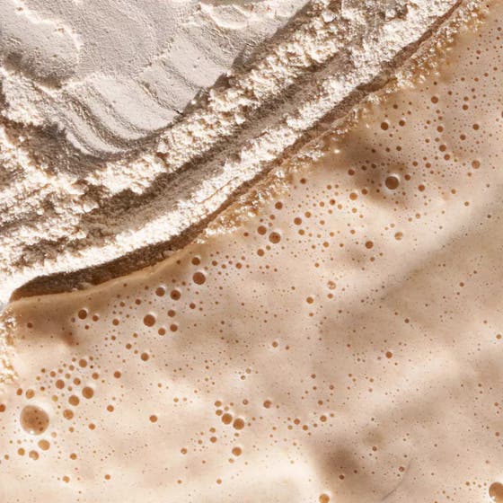 Dermalogica Daily Milkfoliant 74 g lugnande peeling pulver i blå flaska för skonsam havreexfoliering.