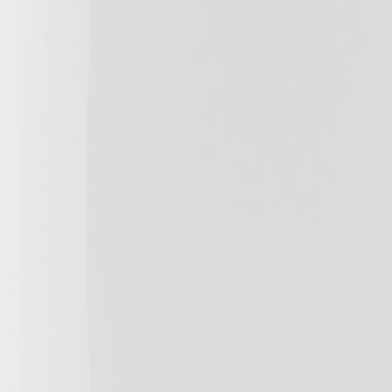 The Wonder Nail Polish Quick Dry & Longwear