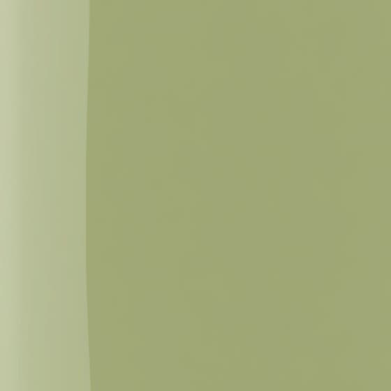 The Wonder Nail Polish Quick Dry & Longwear