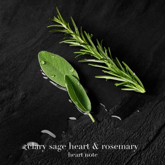 Acqua Di Giò Parfum Refill Pack