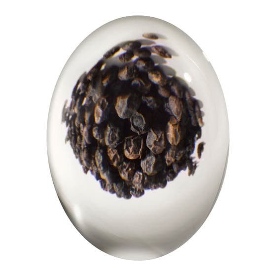 Black Pepper