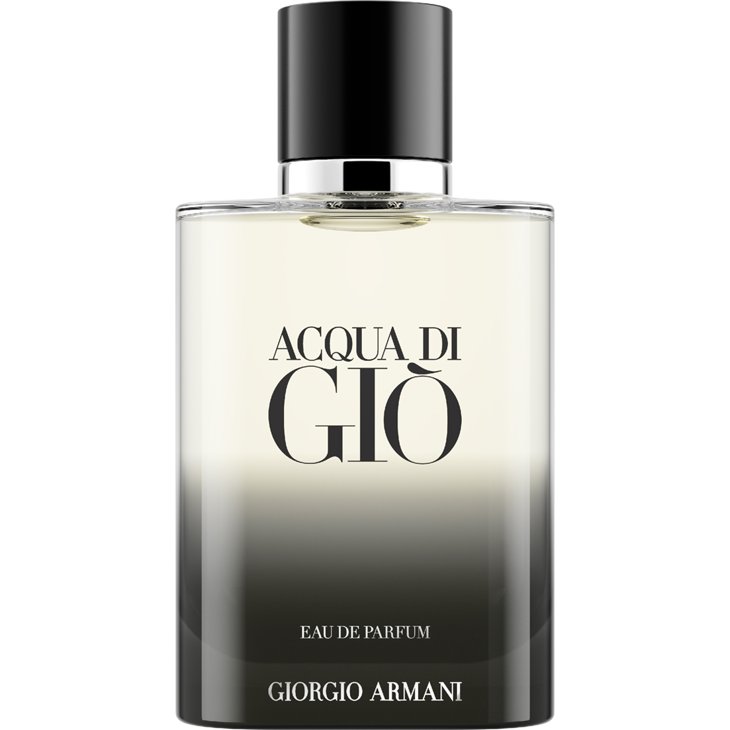 Acqua Di Gio Homme