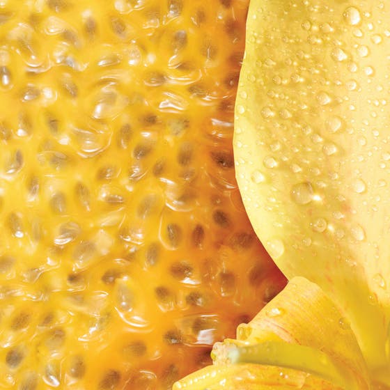 Yum me, Sunny! Body Mist