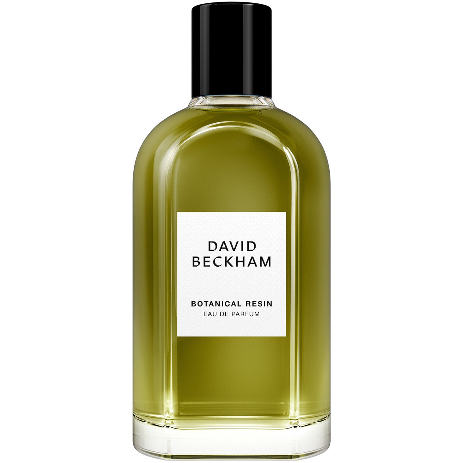 David Beckham Collection Botanical Resin Eau De Parfum 100 ml