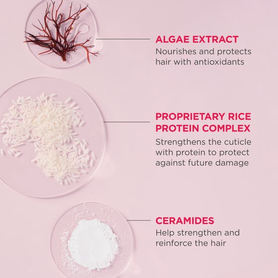 Don't Despair, Repair!™ Shampoo Concentrate