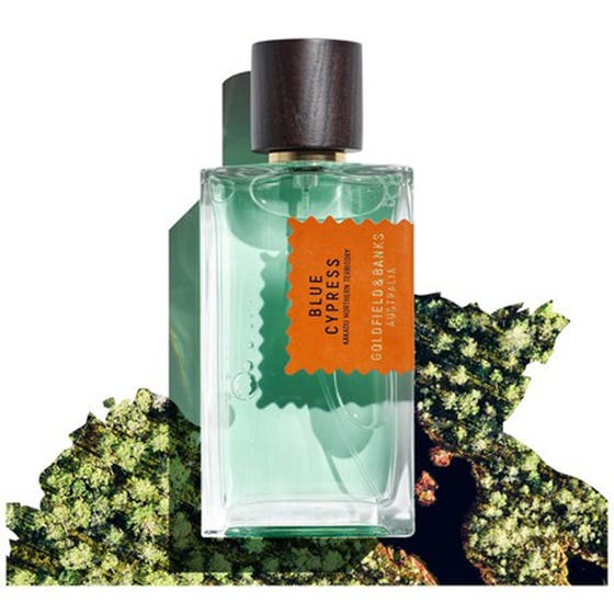 Blue Cypress