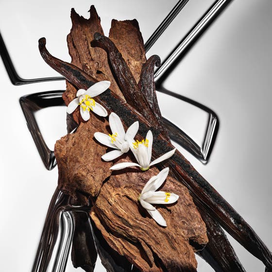 Myslf Le Parfum