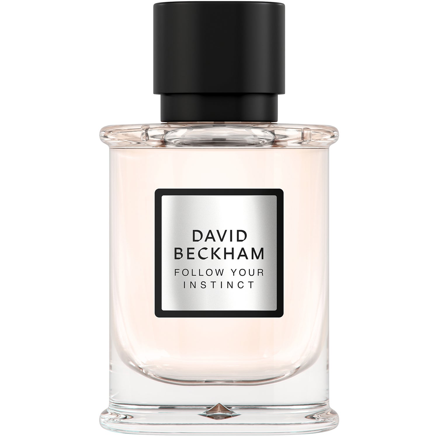 David Beckham Follow Your Instinct Eau De Parfum 50 ml