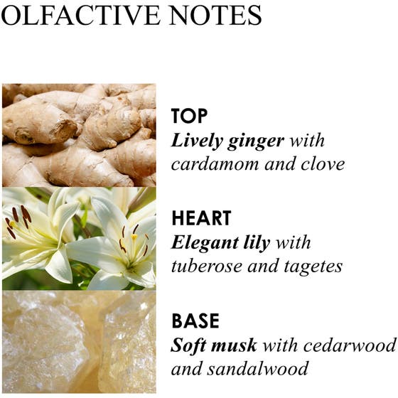 Heavenly Gingerlily Bath & Shower gel