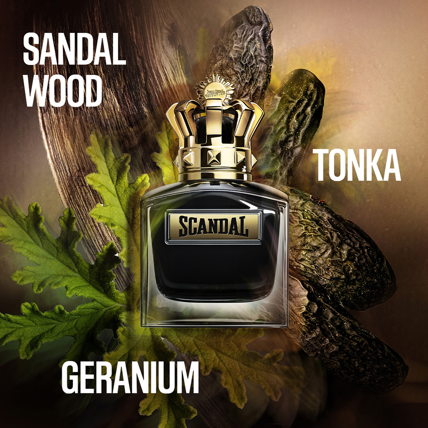 Scandal Le Parfum Him