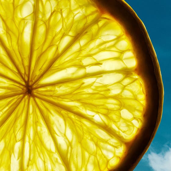 Bottled Bold Citrus Summer