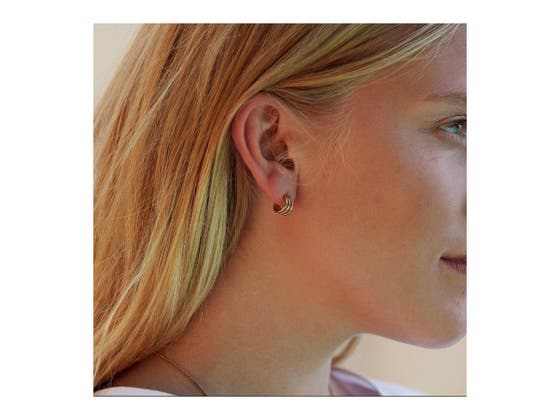 Echo Earrings Small Gold