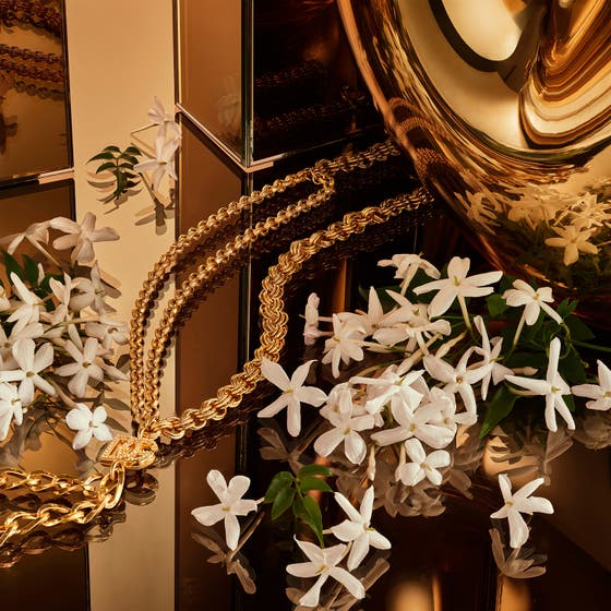 The One Gold Intense