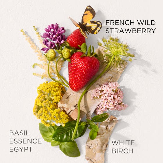 Green Tea Strawberry Basil