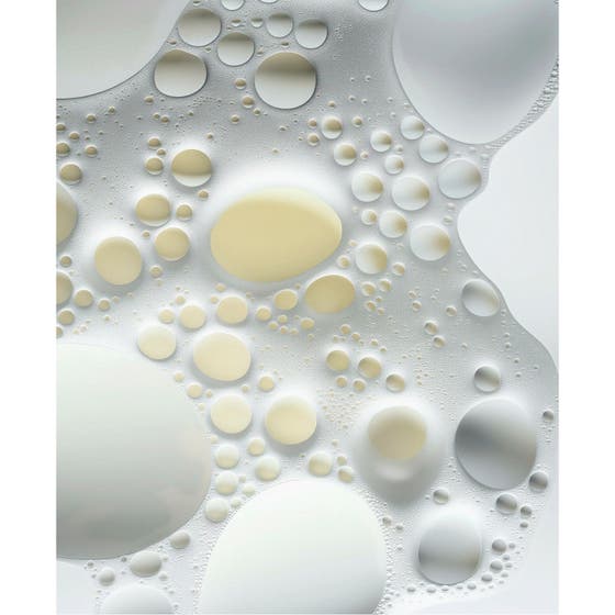 The Nourishing Shampoo