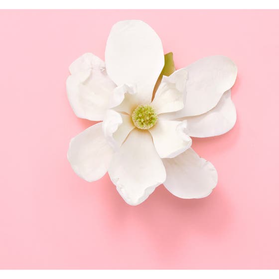Gucci Flora Gorgeous Jasmine EdP 100ml parfym i turkos flaska med guldkork bland prunkande vita blommor