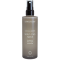 Luminous Bronze - Self-Tan Mist