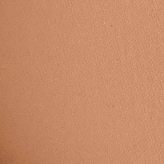 The Bronzing Powder