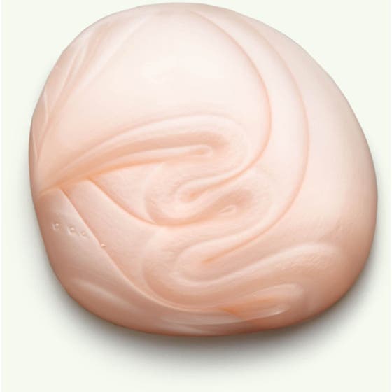 Scalp Healing Essentials With Detangler