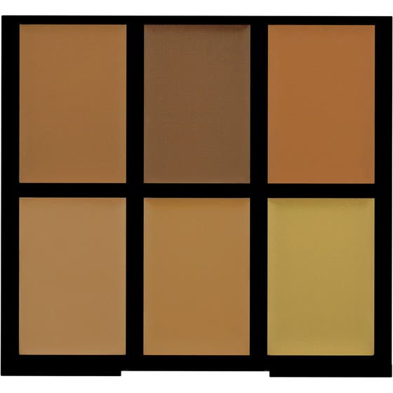 Pro Conceal & Correct