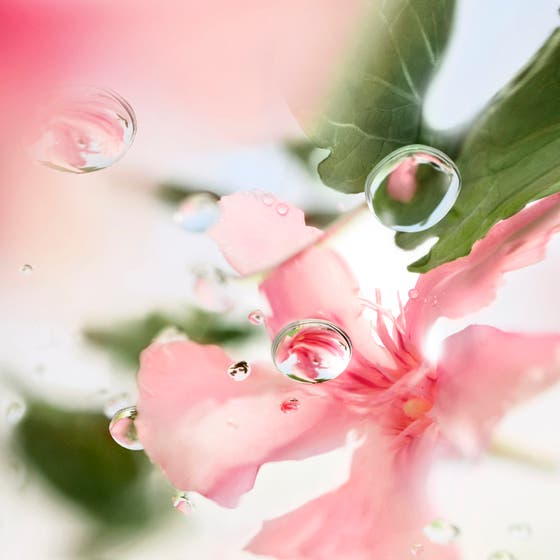 Ô de Lancôme Over The Top