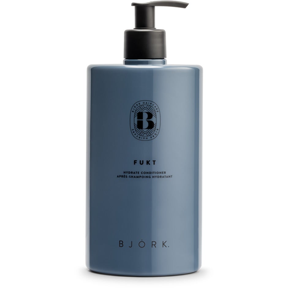 Björk Fukt Conditioner